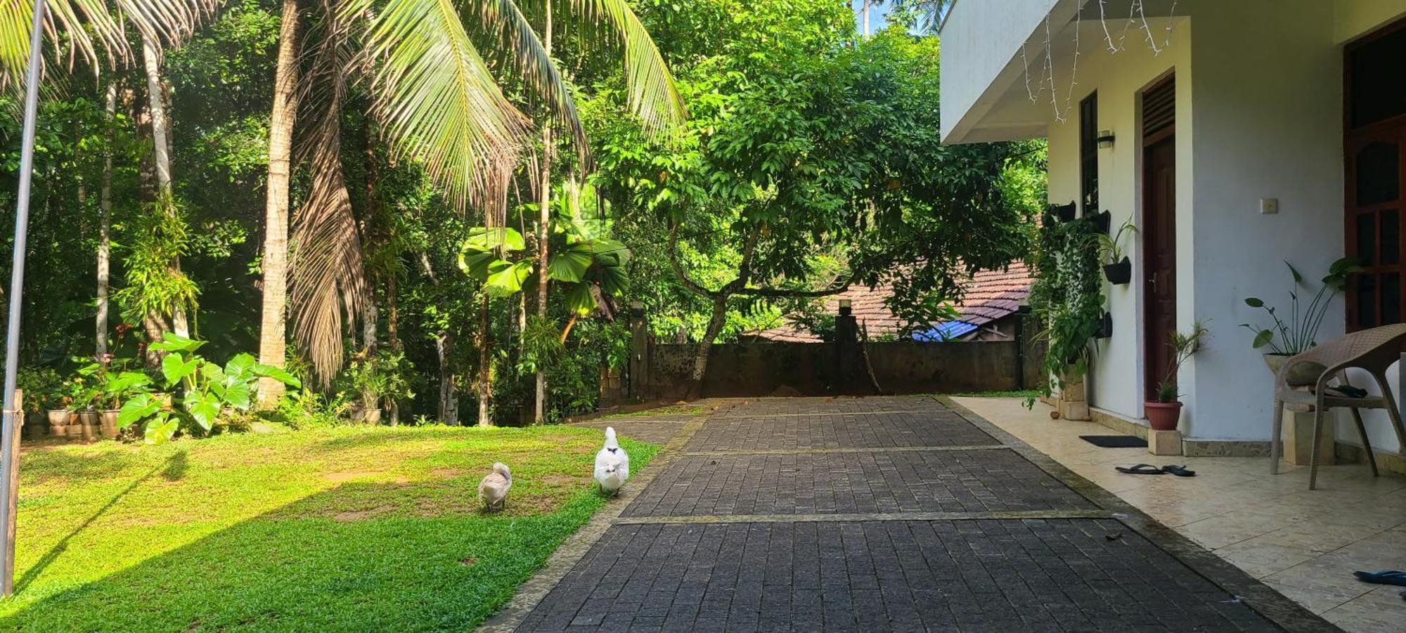 'Kolamba Gedara' Green Apartment Ruwanwella Eksteriør bilde